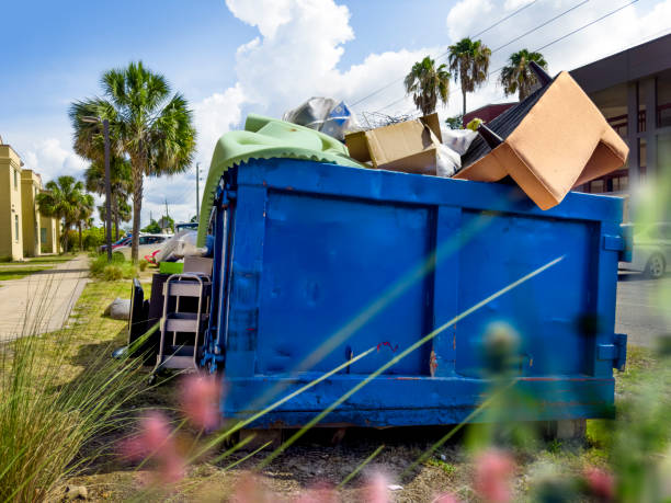 Debris Removal in Unicoi, TN